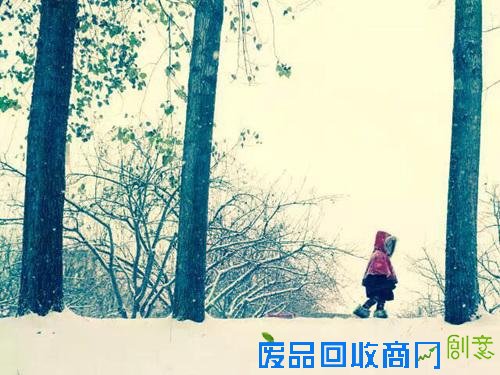 【微语录】走着，走着1