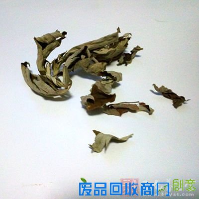 家有三年艾，医生不用来