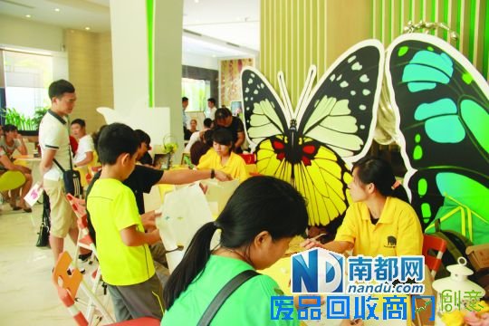 城市空间举行蝴蝶展览