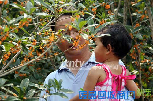 2014南昌凤凰沟金秋旅游文化节暨第7届南昌桂花节开幕