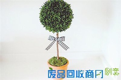 diy,充满了,蝴蝶结,与众不同,五彩缤纷