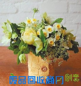 diy,充满了,蝴蝶结,与众不同,五彩缤纷
