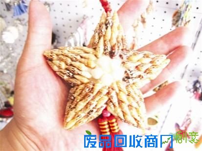 贝壳海螺饰品 贝壳海螺饰品