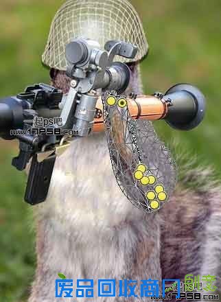 Photoshop合成可爱的武装松鼠战士图片