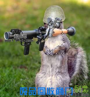 Photoshop合成可爱的武装松鼠战士图片
