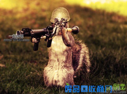 Photoshop合成可爱的武装松鼠战士图片