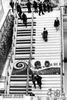 2月15日，两段供34级“钢琴阶梯”出现在上海浦东新区一商场内，这片台阶被粉刷成钢琴的黑白两色，中间休息平台还有音符图案装饰，阶梯的每一个台阶上都设有红外感应装置，市民走上任意一个台阶都会对应“弹出”一个悦耳的钢琴声。据悉，“钢琴阶梯”不光能让购物和生活更有趣，同时也在倡导健康低碳的生活方式。商家建造“钢琴阶梯”互动装置，也是希望市民在方便的时候更多地选择台阶上下楼，少使用自动扶梯。