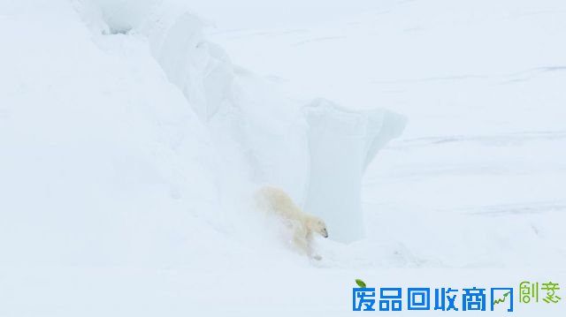 世界上最独特的巡逻队是如何炼成的