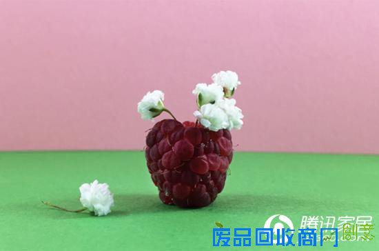 趣味设计：你绝对想不到烤红薯可以当花瓶