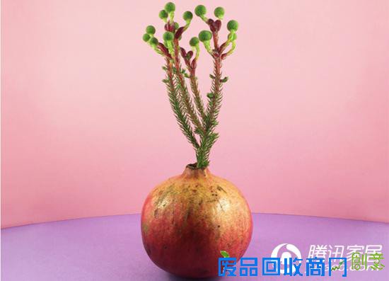 趣味设计：你绝对想不到烤红薯可以当花瓶