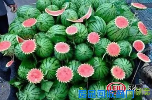 九洲花园 冰淇淋水果DIY 我们是用心的