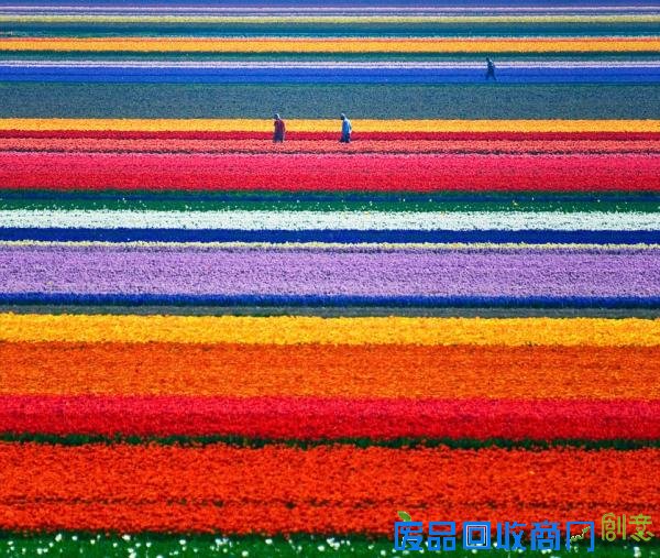 到真实世界中寻找灰姑娘，11个最富童话色彩的目的地