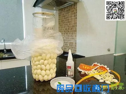 惊呆！开心果除了吃还能做花瓶！