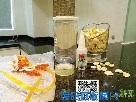 惊呆！开心果除了吃还能做花瓶！