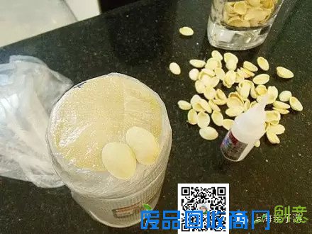 惊呆！开心果除了吃还能做花瓶！