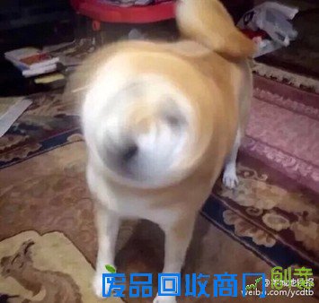 开学那些事儿：别跟我提开学，伤感情