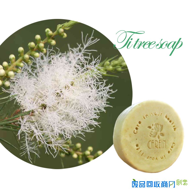 香草精油學苑 CAREIN(康茵)專業芳療精油