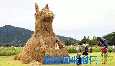 趣味 | 农业创意high翻天,走起!!!