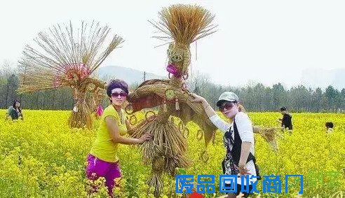 趣味 | 农业创意high翻天,走起!!!