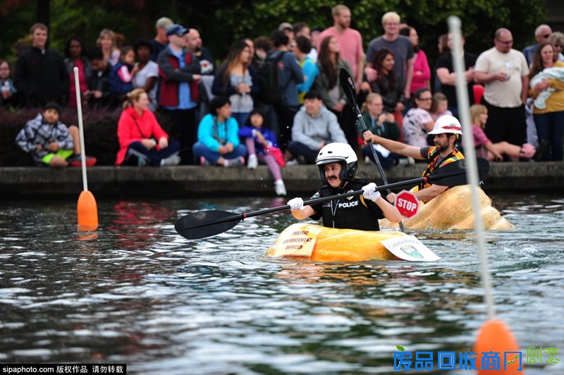 美国巨无霸南瓜快艇赛举行 另类小船水上角逐趣味横生