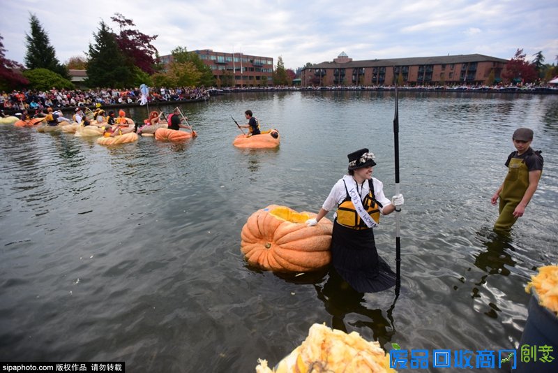 美国巨无霸南瓜快艇赛举行 另类小船水上角逐趣味横生
