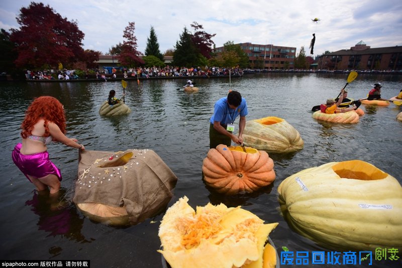 美国巨无霸南瓜快艇赛举行 另类小船水上角逐趣味横生