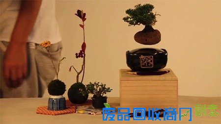  日本黑科技：空中盆景（Air Bonsai）