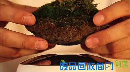  日本黑科技：空中盆景（Air Bonsai）