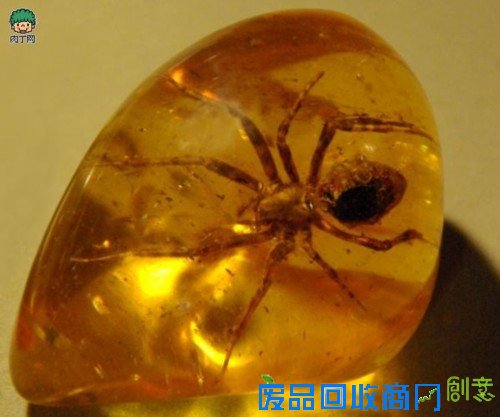 琥珀昆虫和琥珀工艺品的加工流程