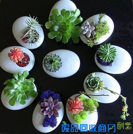 这样养花，你还花钱买花盆吗？