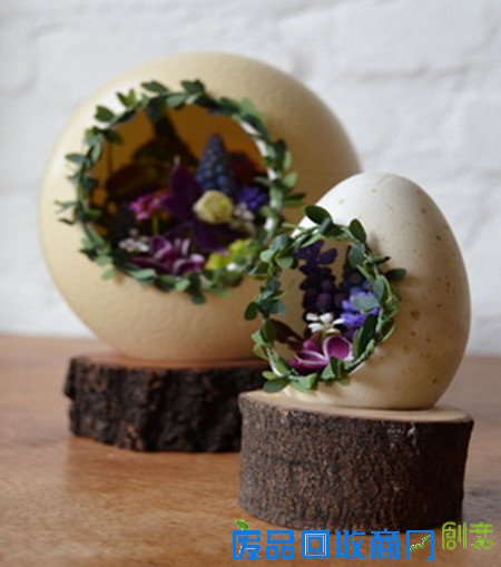 这样养花，你还花钱买花盆吗？