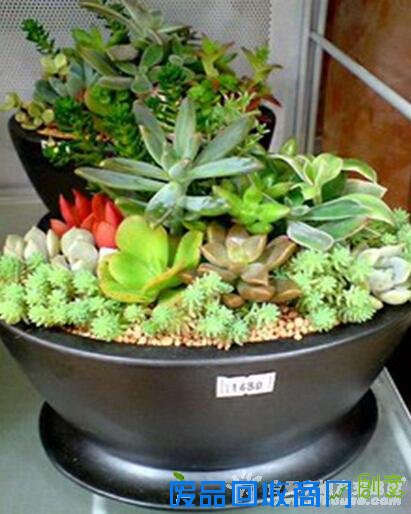 【国耀星达城】创意美素DIY 清新来袭欢度国庆