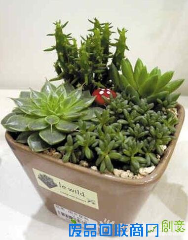 【国耀星达城】创意美素DIY 清新来袭欢度国庆