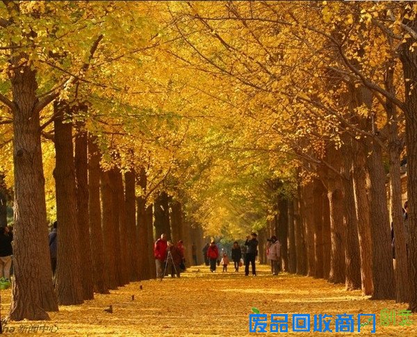 APEC放假去哪玩?