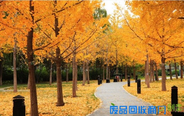 APEC放假去哪玩?