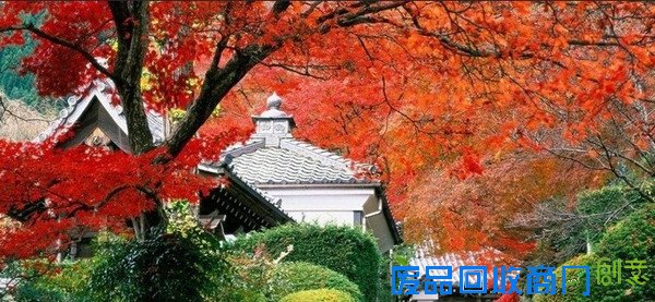 APEC放假去哪玩?