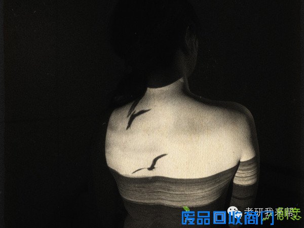 年度最励志考研语录