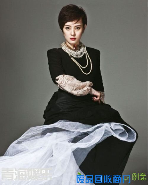 刘诗诗孙俪陈慧琳 娱乐圈零绯闻明星