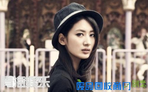 刘诗诗孙俪陈慧琳 娱乐圈零绯闻明星