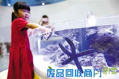 前日，北京海洋馆，小朋友在新开的儿童乐园内触摸海洋生物。本版图片/新京报记者 浦峰 摄