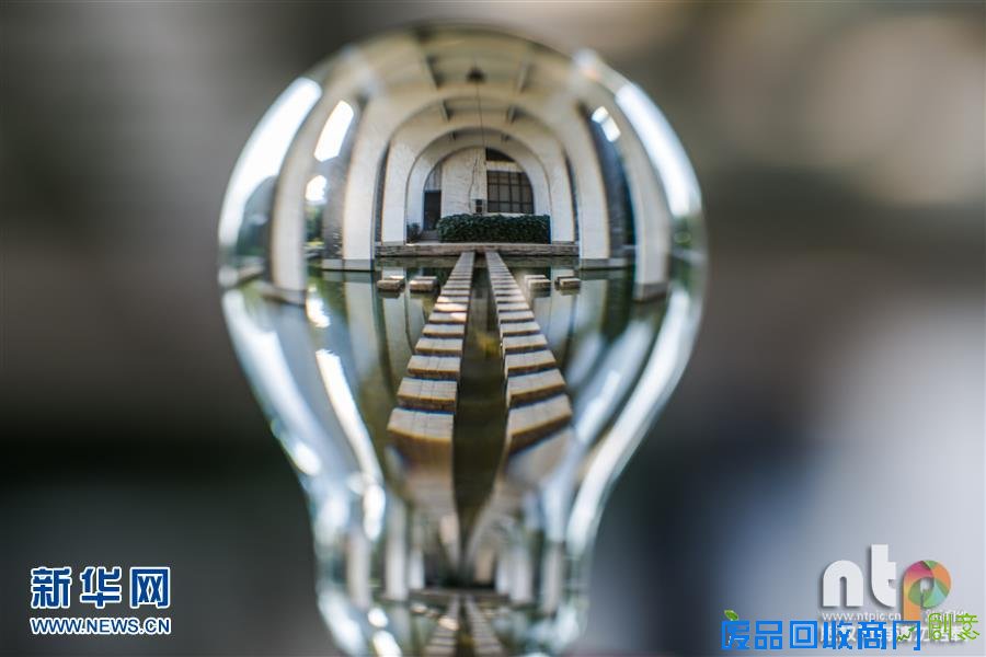 趣味摄影：小灯泡中的大世界！