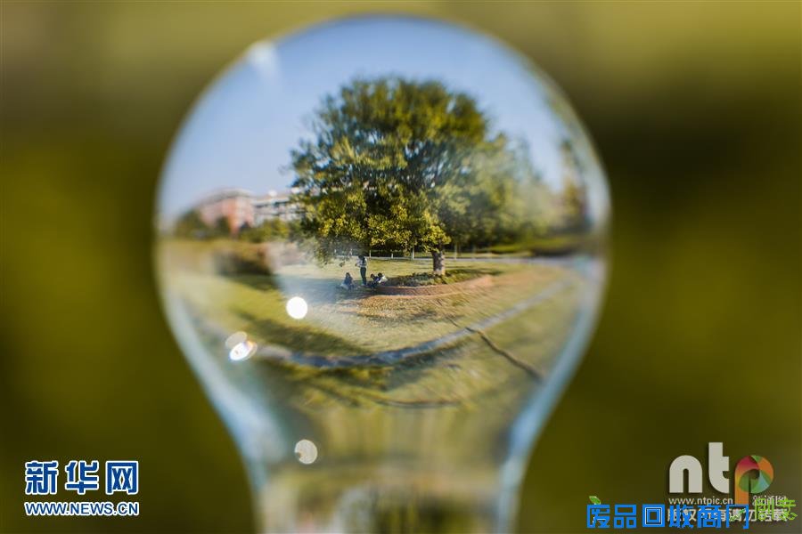 趣味摄影：小灯泡中的大世界！