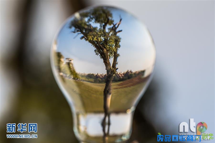 趣味摄影：小灯泡中的大世界！