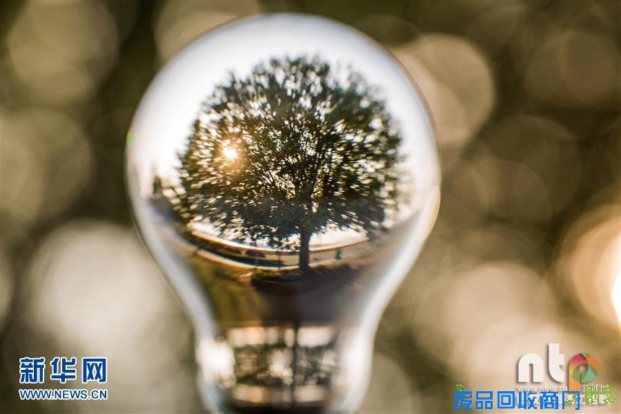 趣味摄影：小灯泡中的大世界！