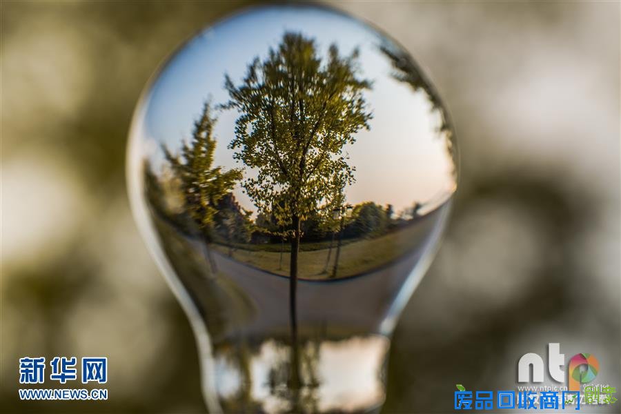 趣味摄影：小灯泡中的大世界！