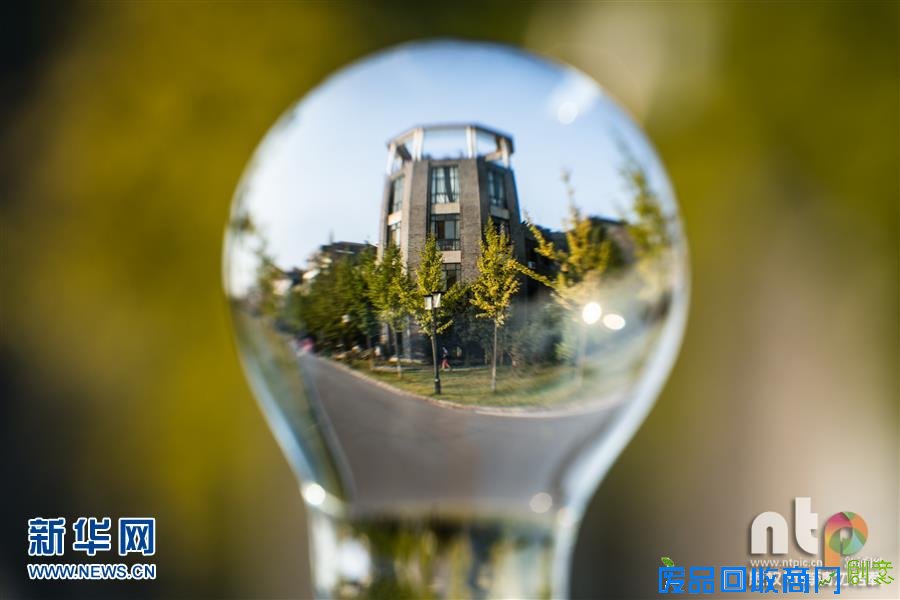 趣味摄影：小灯泡中的大世界！