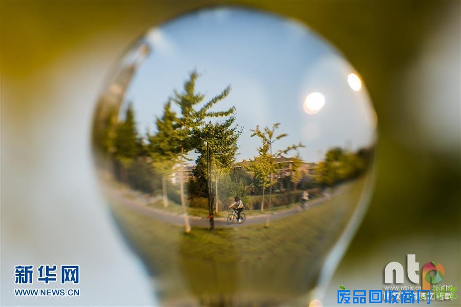 趣味摄影：小灯泡中的大世界！