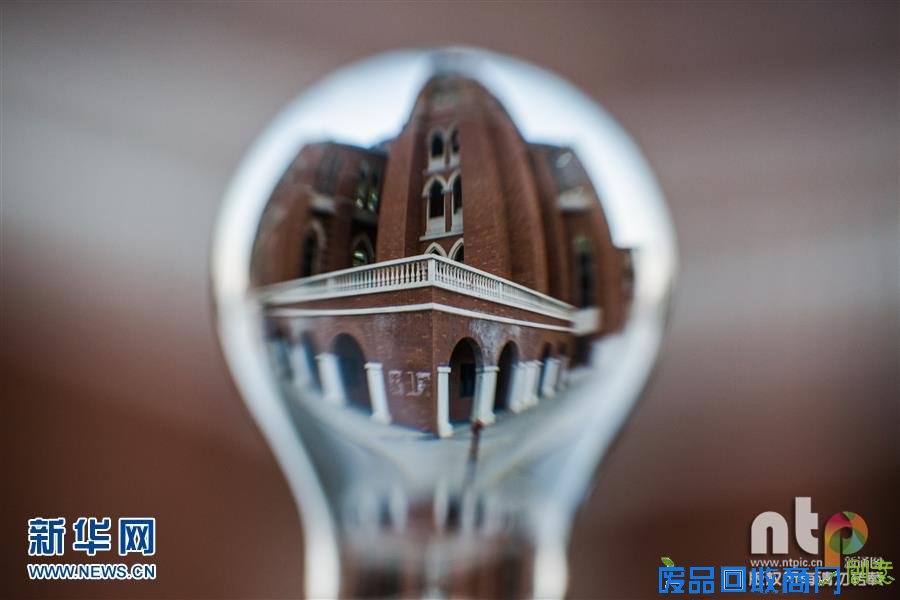 趣味摄影：小灯泡中的大世界！