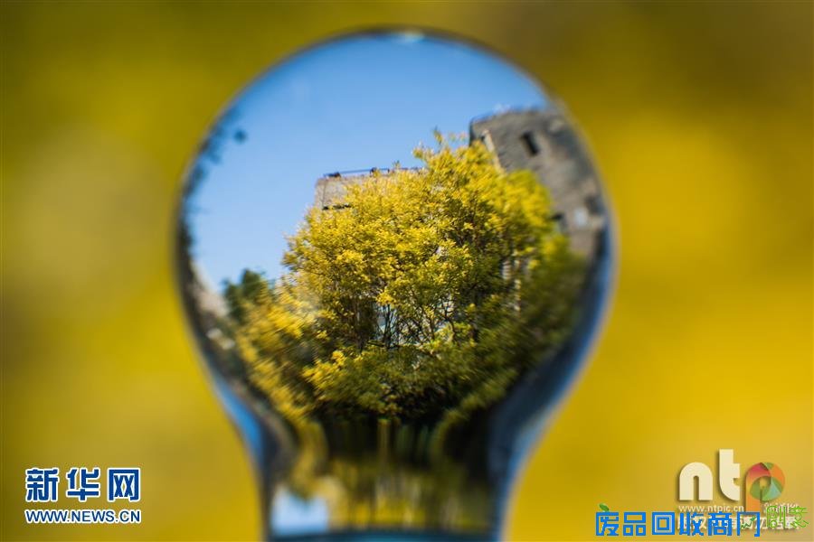 趣味摄影：小灯泡中的大世界！