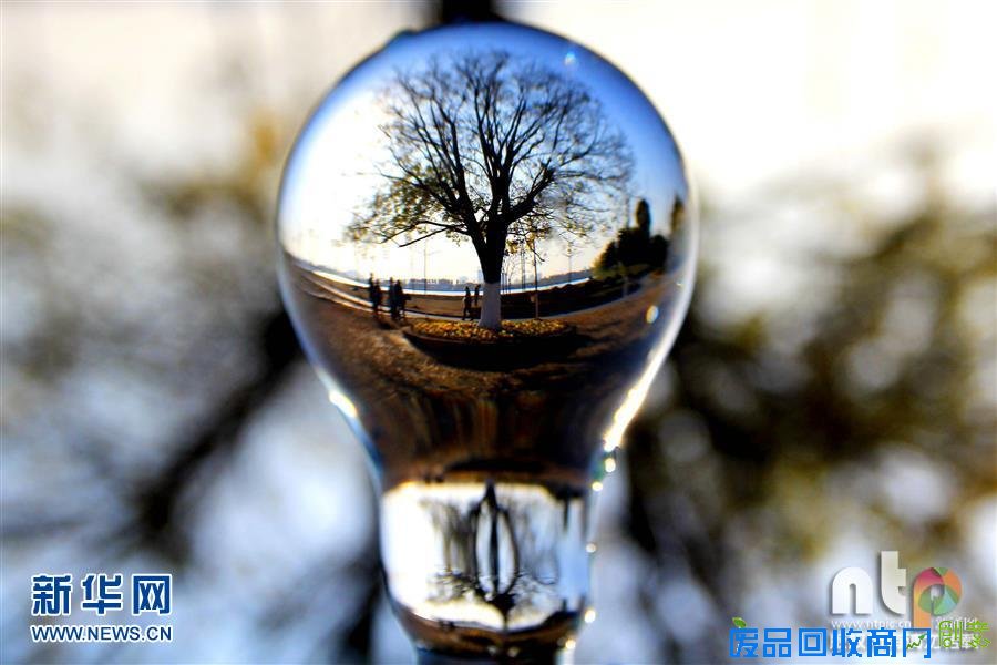 趣味摄影：小灯泡中的大世界！